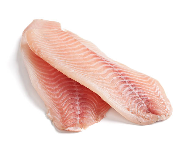 Filete de Curvina
